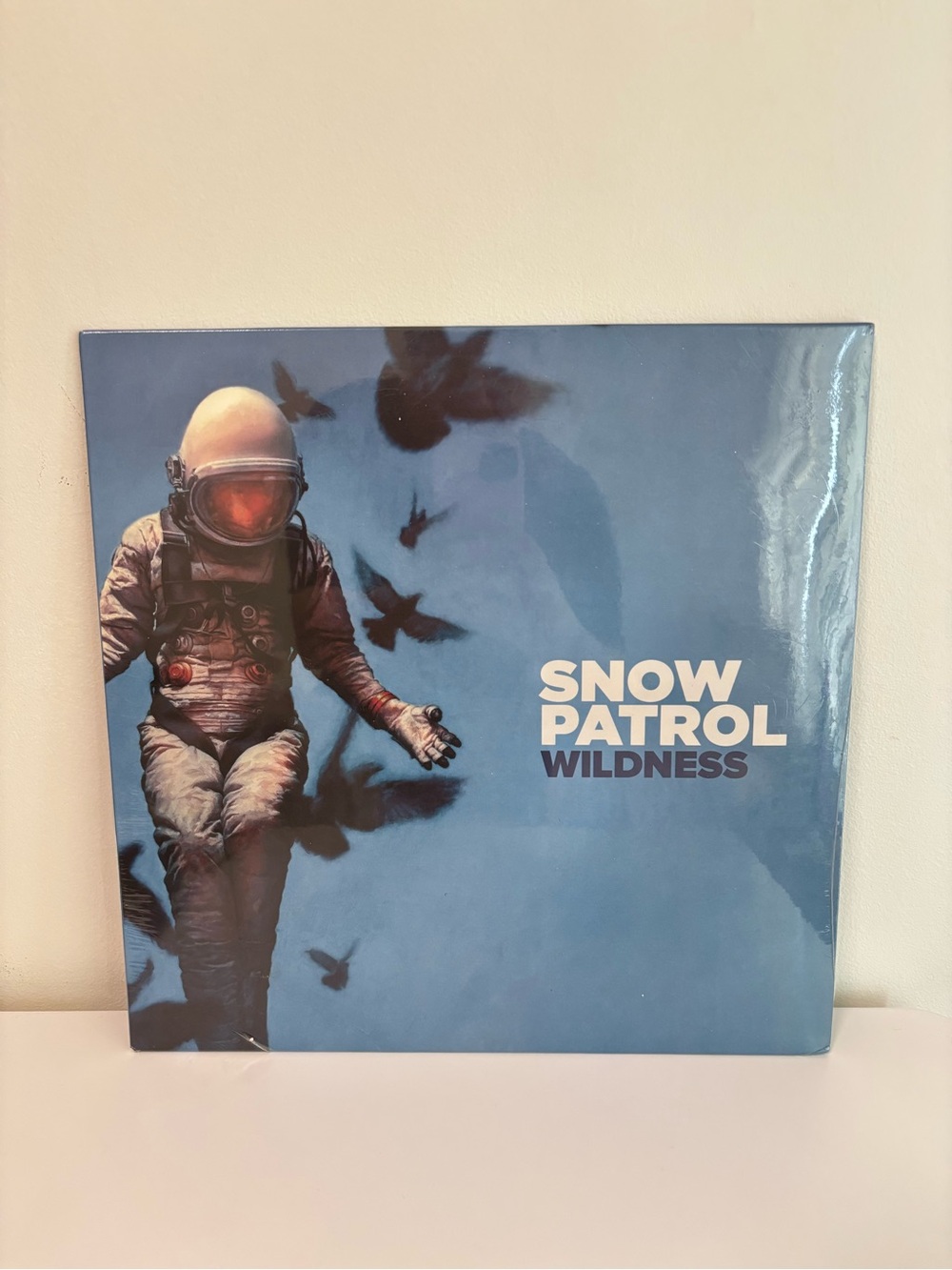 Snow Patrol Wildness Vinyl
